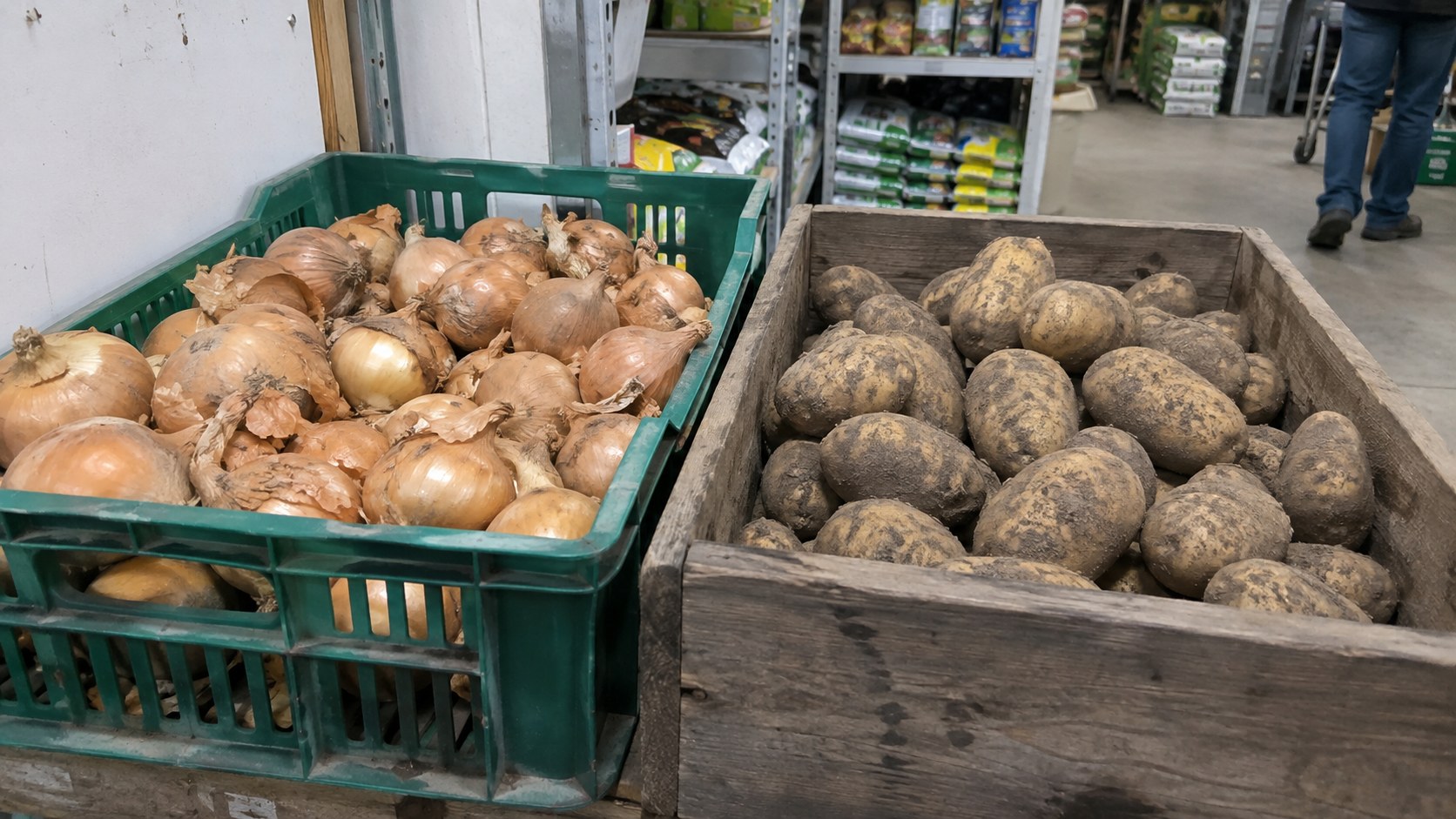 Onions and potatoes in practical farm shop crates